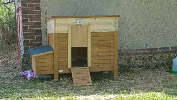 Joli petit poulailler en bois avec une porte guillotine automatique et une cellule solaire déportée.