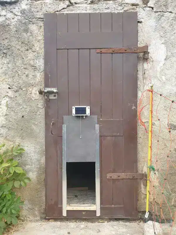 La Terceira solaire sur une grande porte en bois de poulailler.