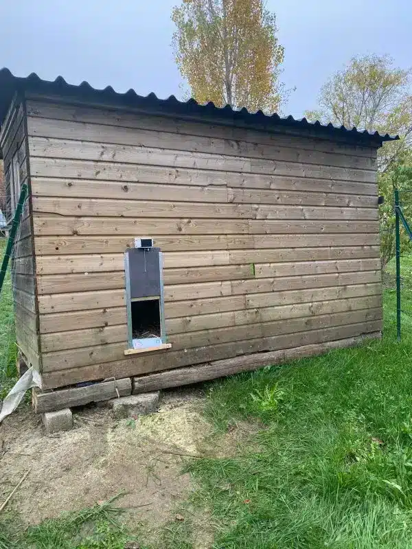 Chalet en bois utilisé comme poulailler avec une porte automatique terceira solaire.