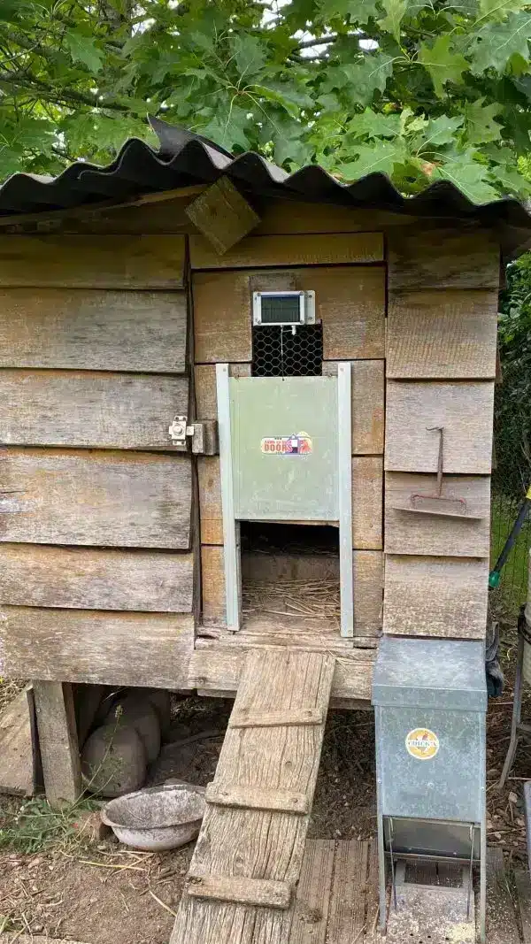 Porte automatique pour poulailler sur un poulailler en bois avec une porte maison