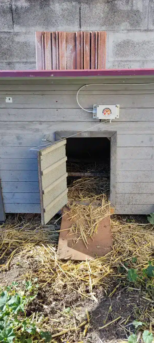 Module de fermeture anticrocpoule solaire avec mini groom sur un poulailler en bois